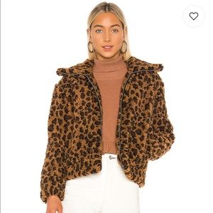 BB Dakota NWT Beautiful coco brown jacket